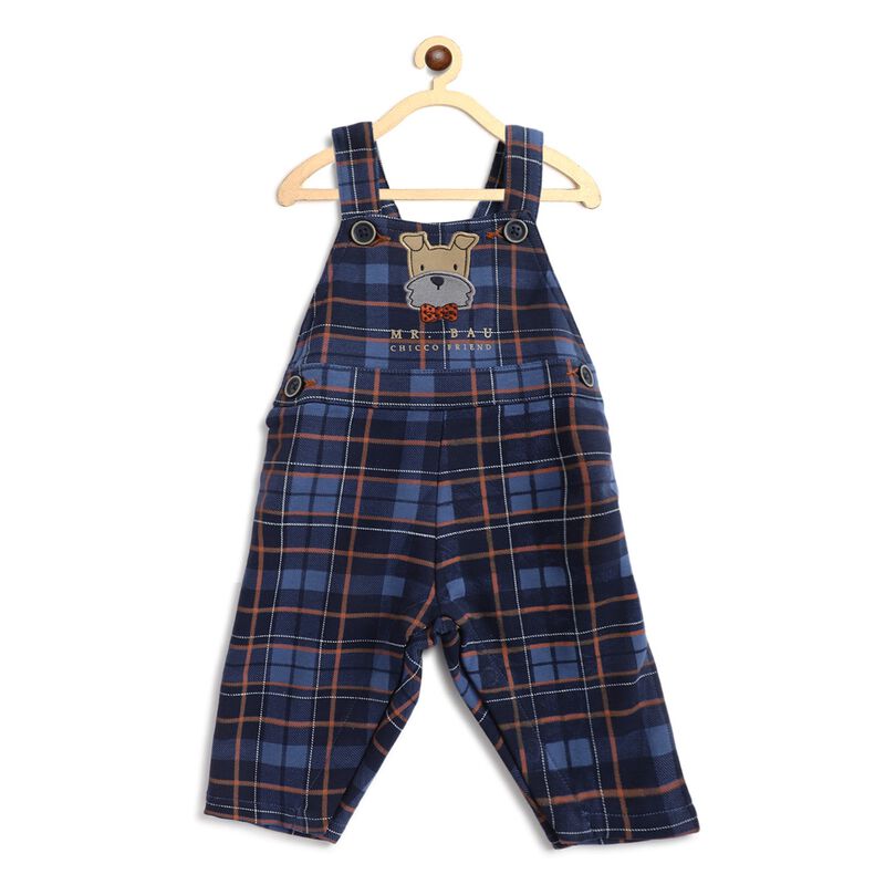 Long Dungaree With Check image number null